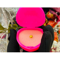 GOLD 999 GOLDEN BEAN - Weight: 1 g